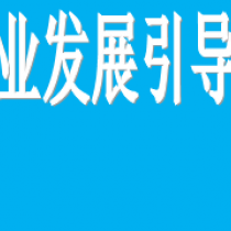 �Ϻ��з���ҵ��չ�����ʽ�